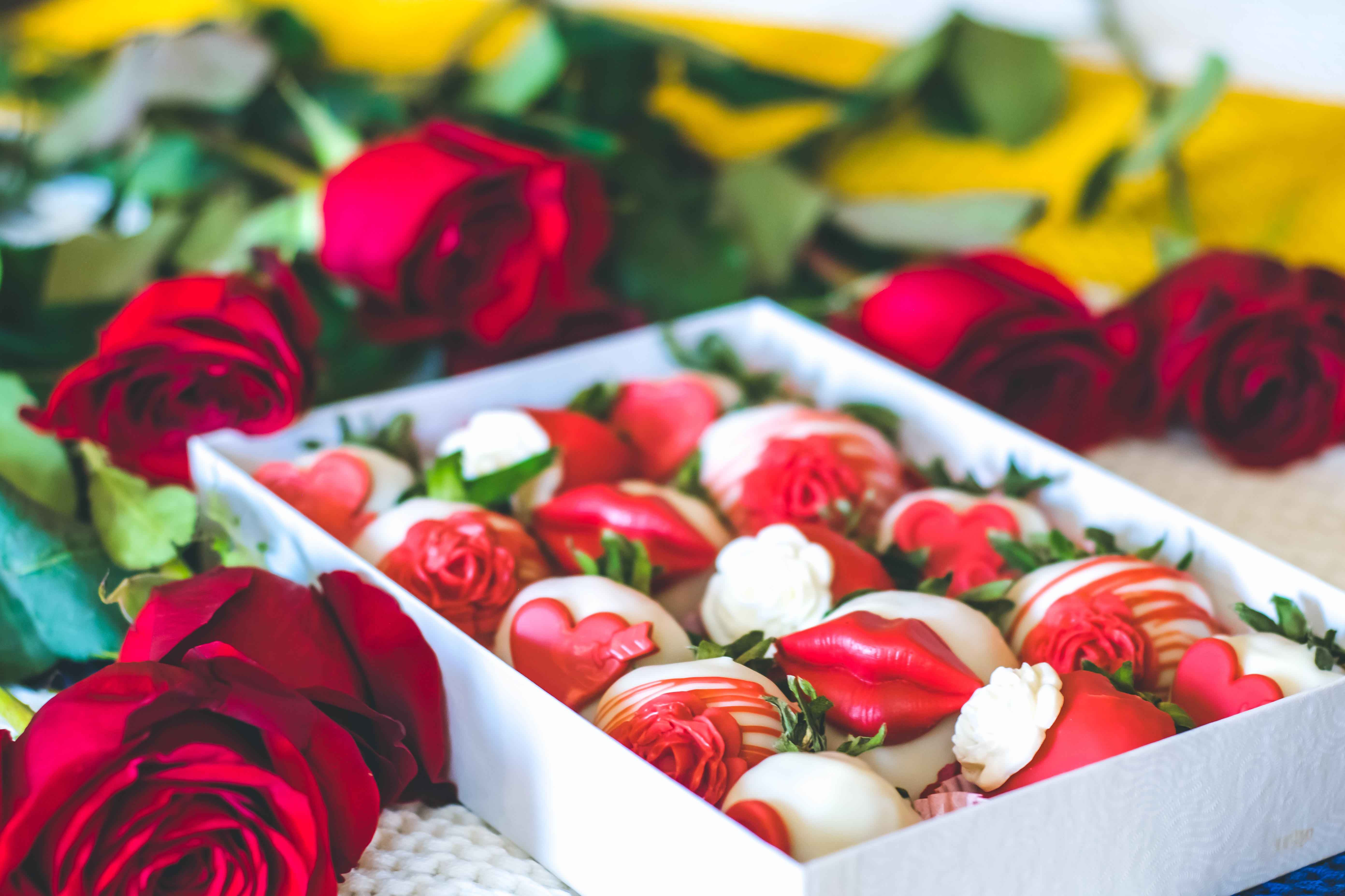 Valentines Day in Downtown Winnipeg, 300 Main Winnipeg Apartments